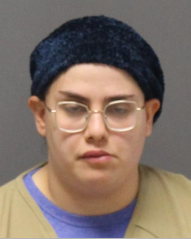 Naomi Elkins pictured in a booking photo. Police say the 27-year-old drowned her two children, stabbing the youngest as well